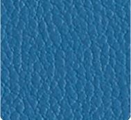 Bluejay (Florentino MFFT-034)